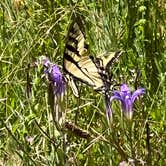 Review photo of Bailey Canyon Campground by Karen O., July 18, 2023