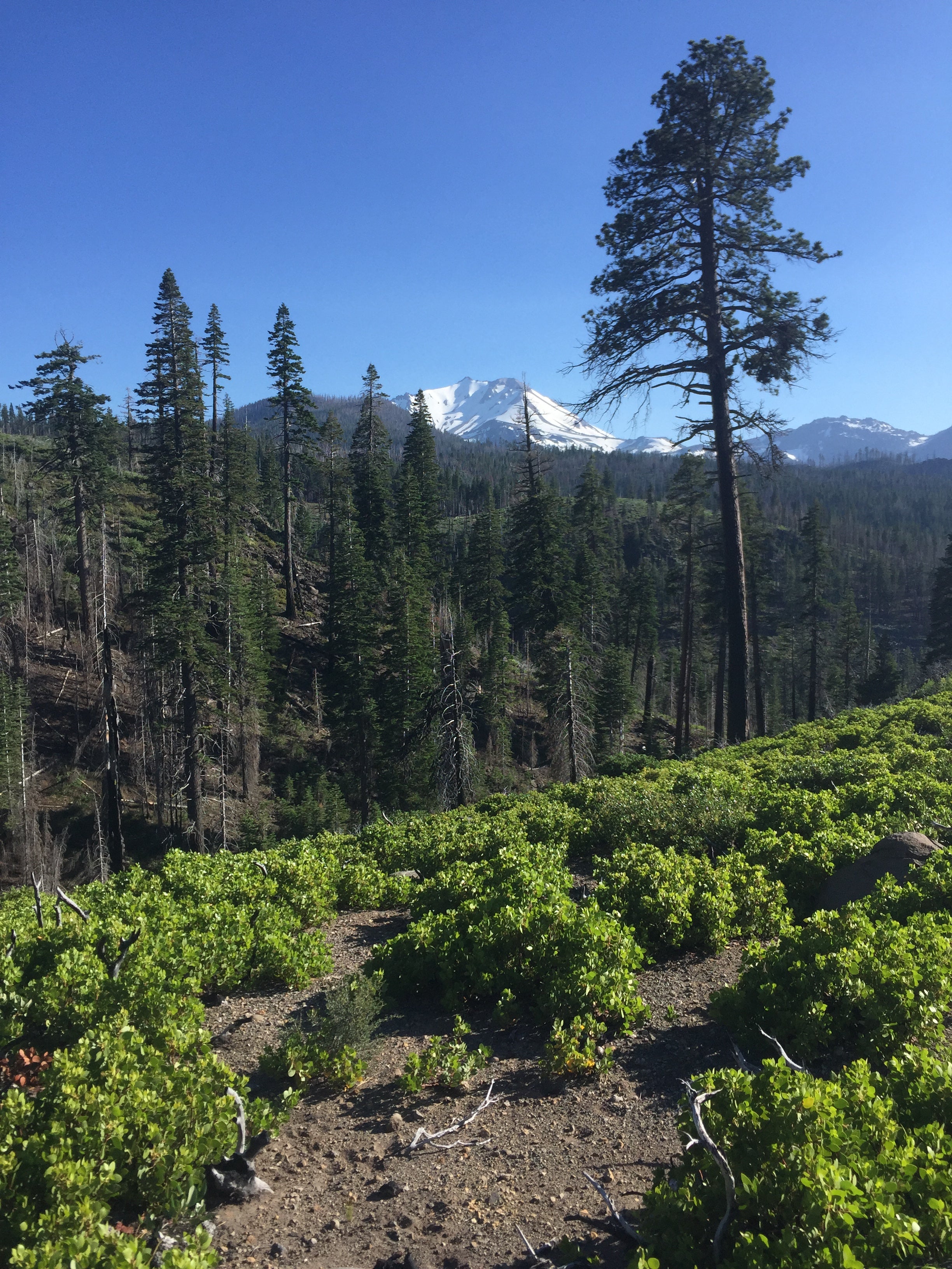 Camper submitted image from Warner Valley Campground — Lassen Volcanic National Park - 2