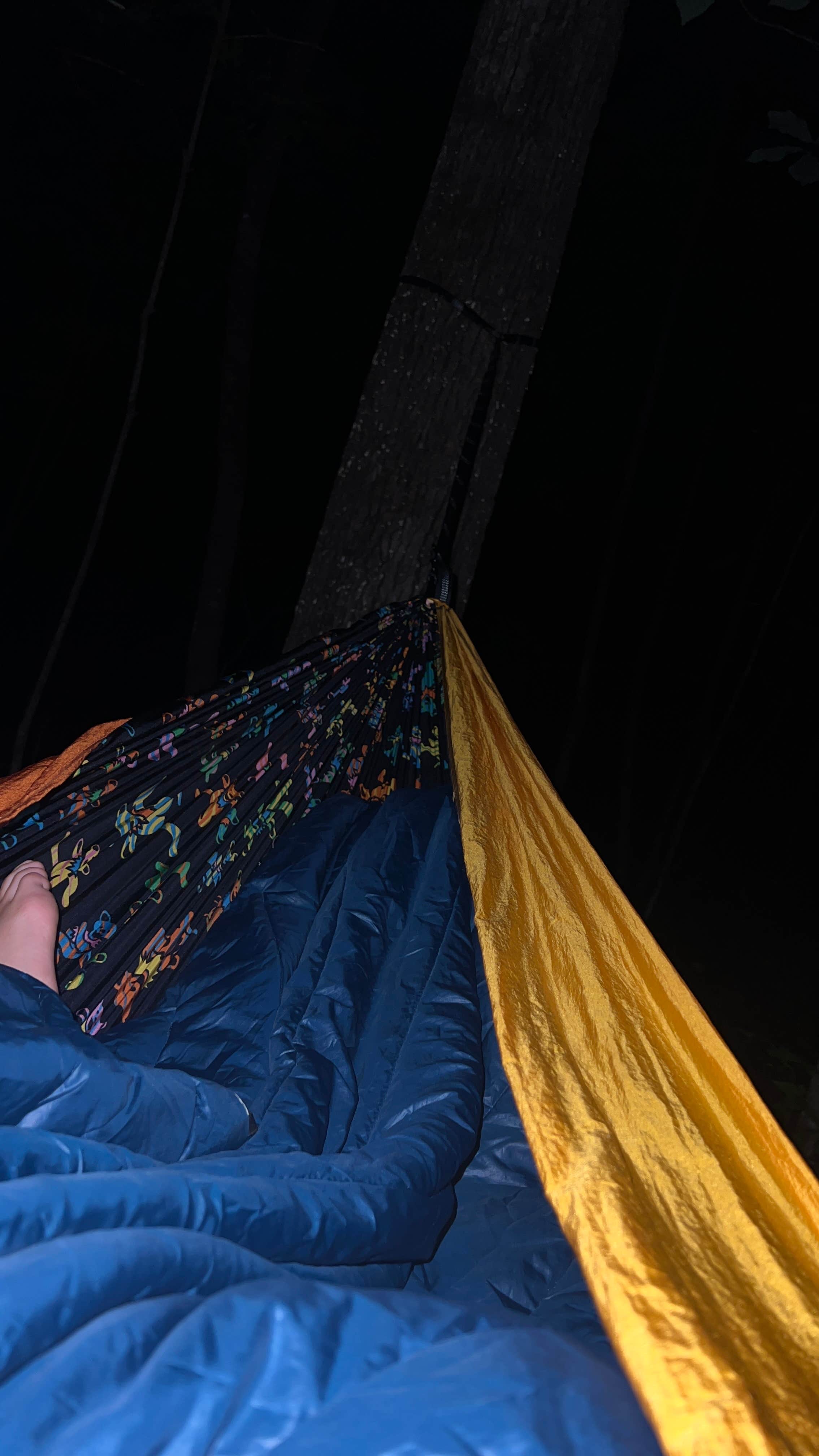 Nolan S.'s photo of a dispersed camping area at Upper Cove Creek - UCC1 Dispersed near Glendale, SC