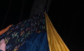 Nolan S.'s photo of a dispersed camping area at Upper Cove Creek - UCC1 Dispersed near National Forests in North Carolina