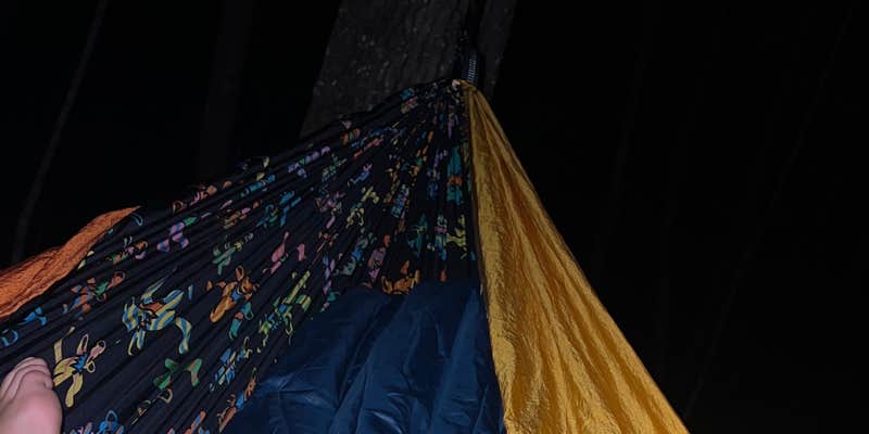 Camper submitted image from Upper Cove Creek - UCC1 Dispersed