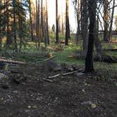 Review photo of Warner Valley Campground — Lassen Volcanic National Park by Patti M., October 24, 2018