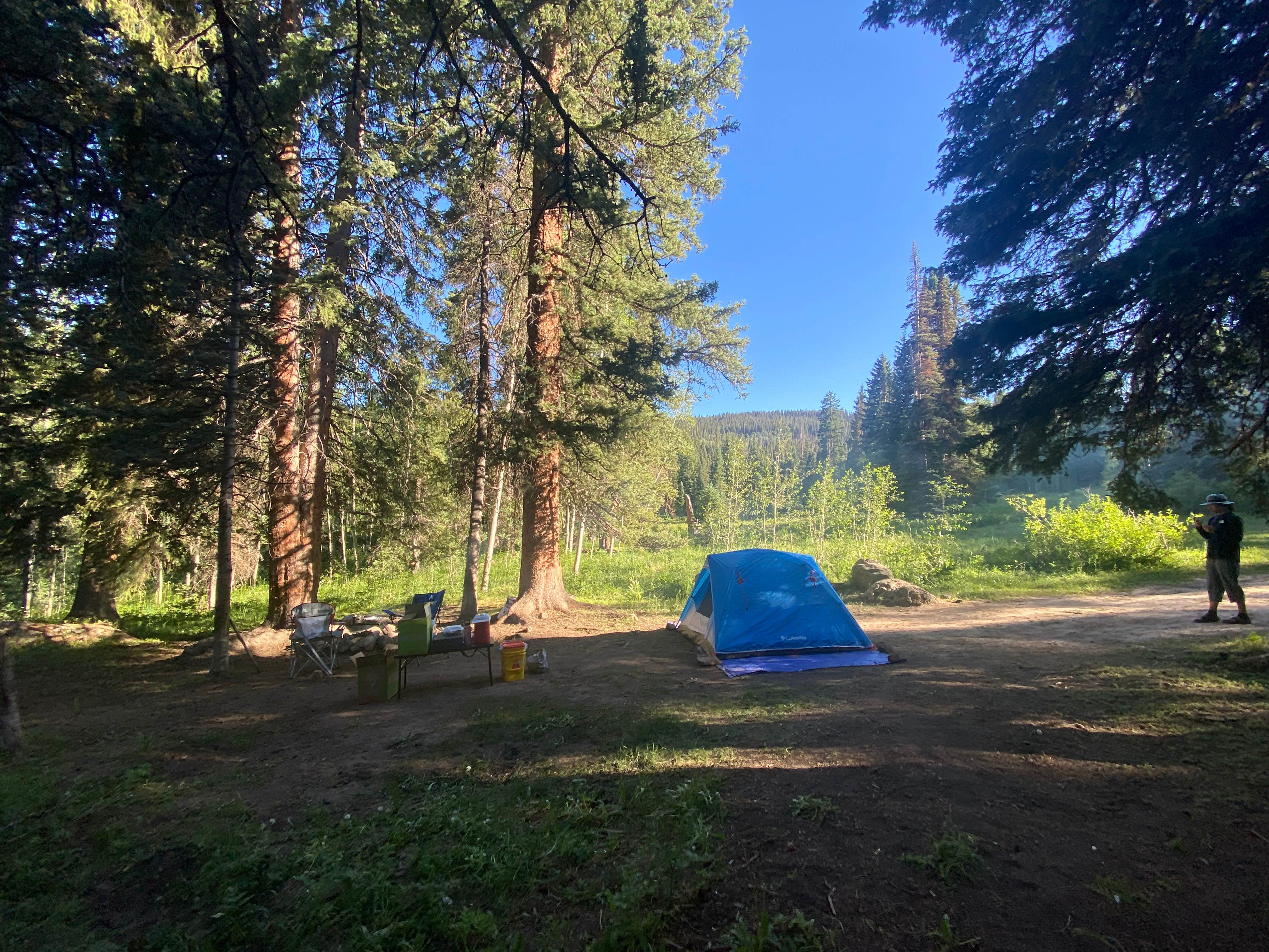 Camper submitted image from Four Mile Road Dispersed - 4