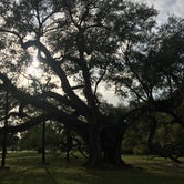 Review photo of New Orleans West KOA by Sam M., October 24, 2018