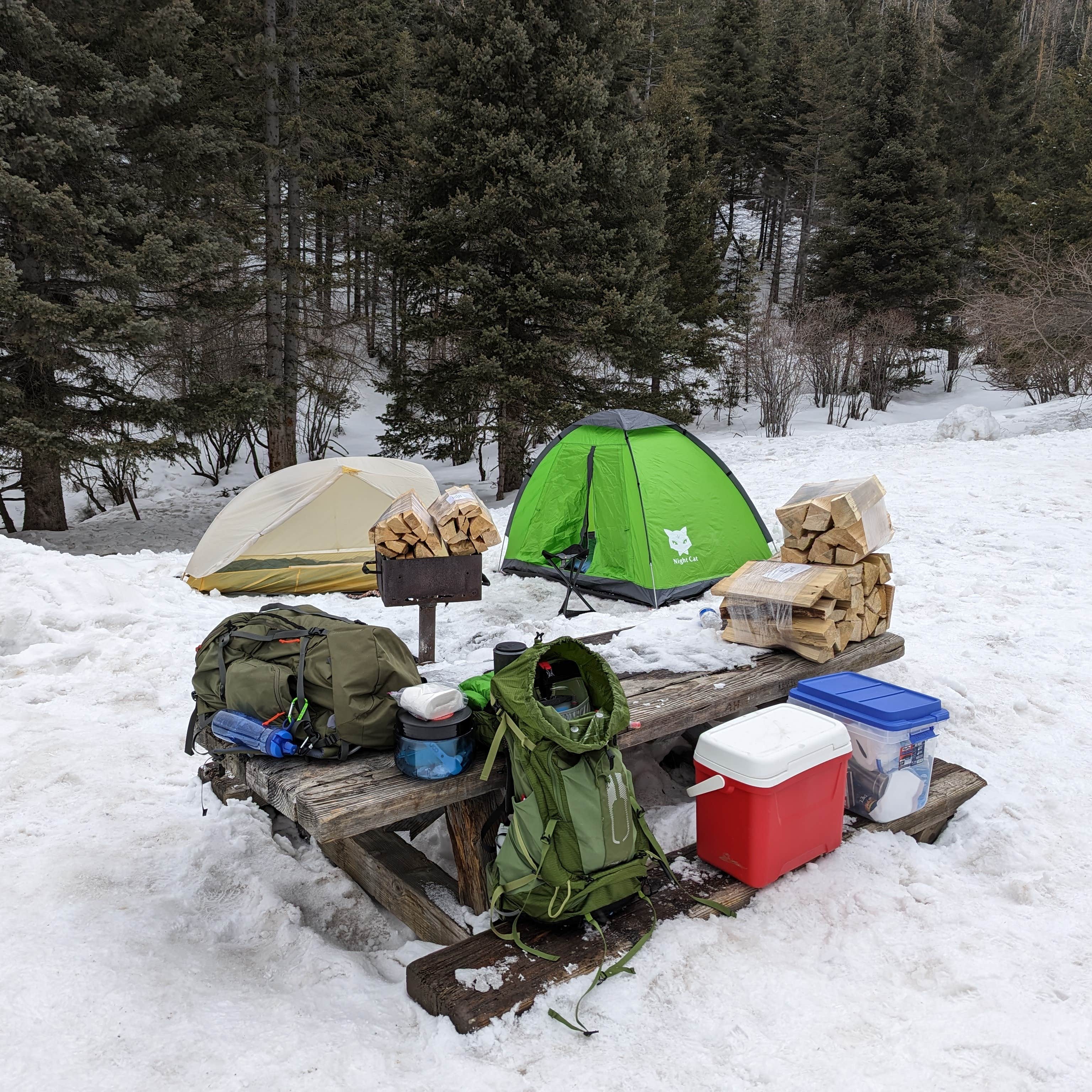 Big Tesuque Campground Camping The Dyrt