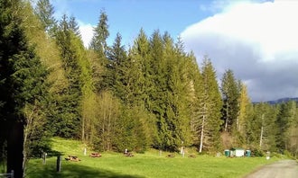 Camping near North Fork Elk Group Camp: Celtic Elk Campground, Randle, Washington