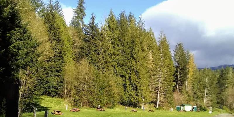 Camper submitted image from Celtic Elk Campground