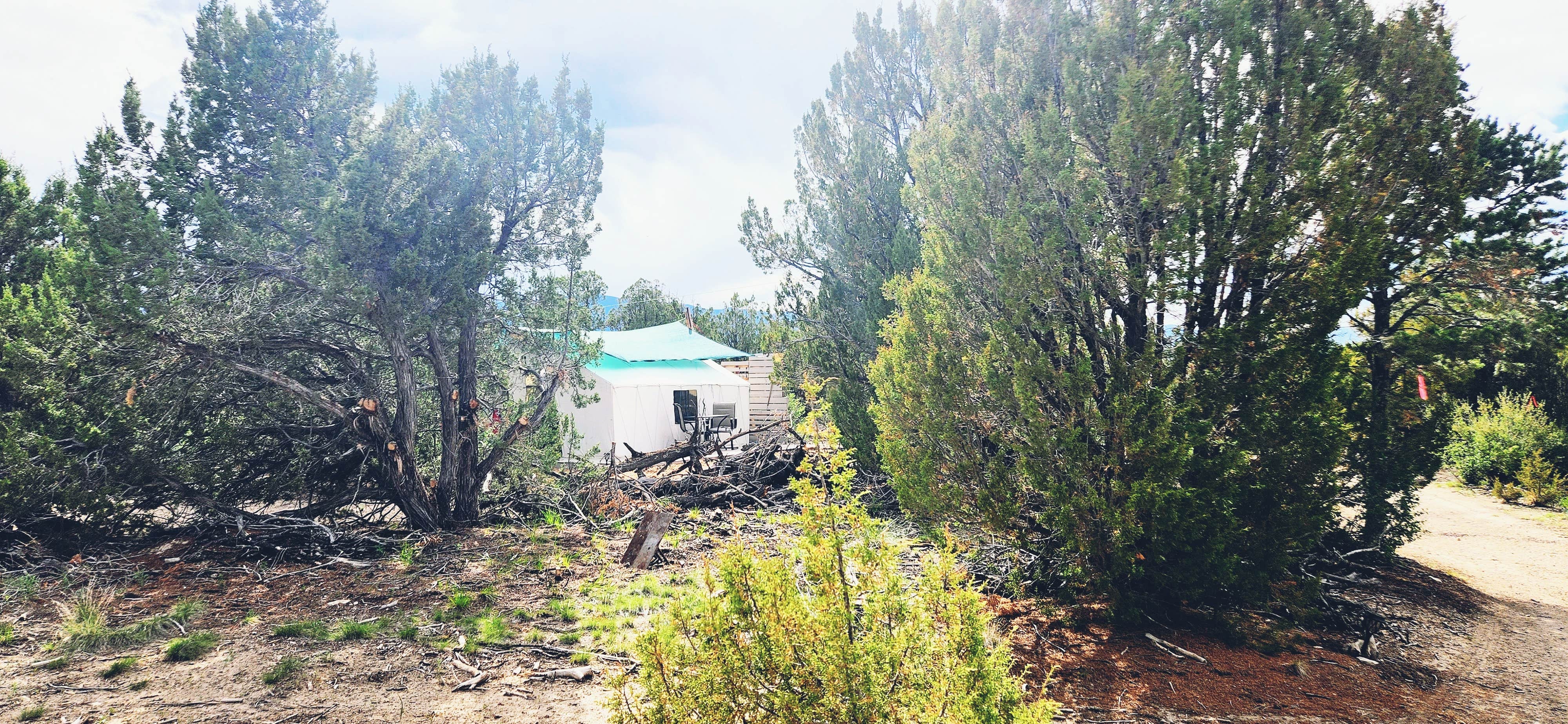 Camping near Pueblo West Campground: Manifest Ranch PrivateCamp, Wetmore, Colorado