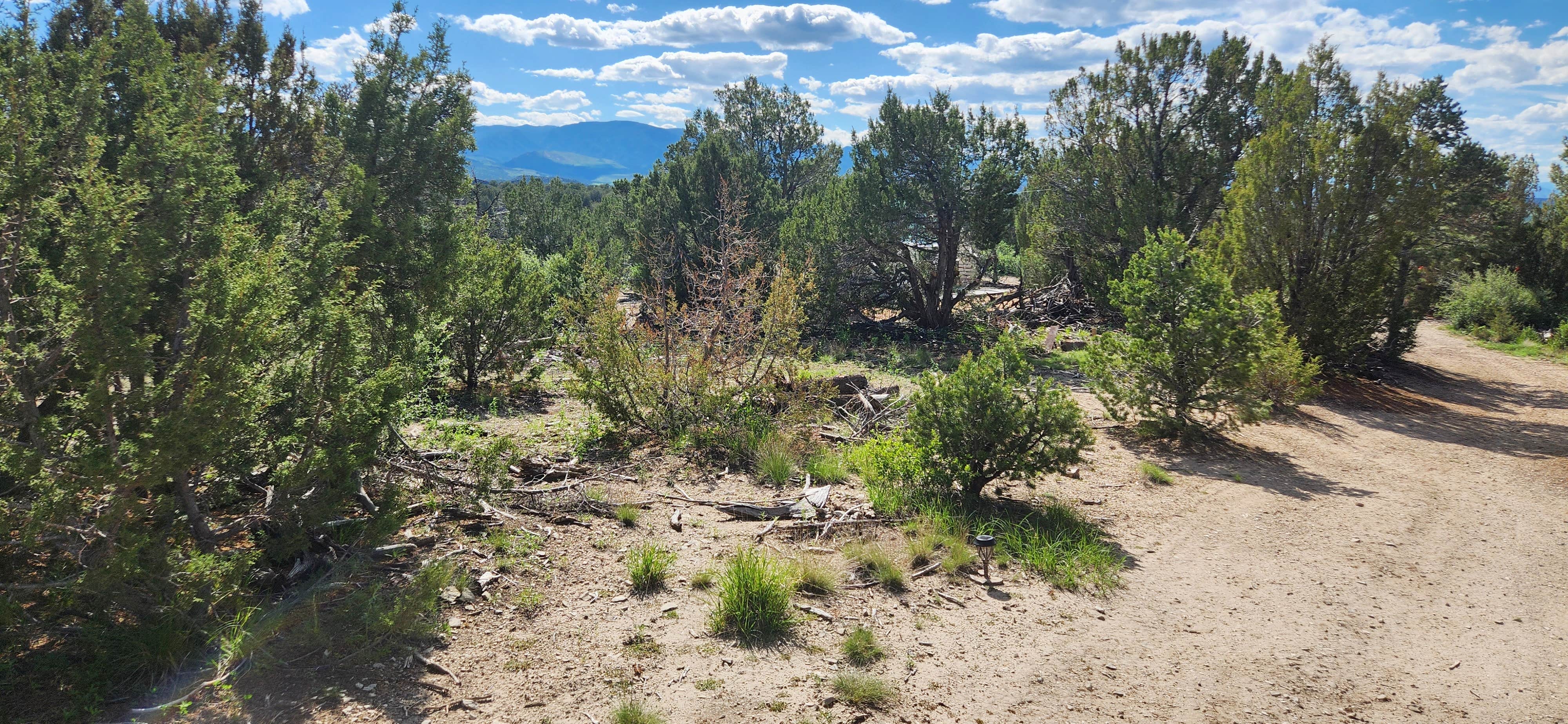 Camper-submitted photo at Manifest Ranch PrivateCamp near Beulah, CO