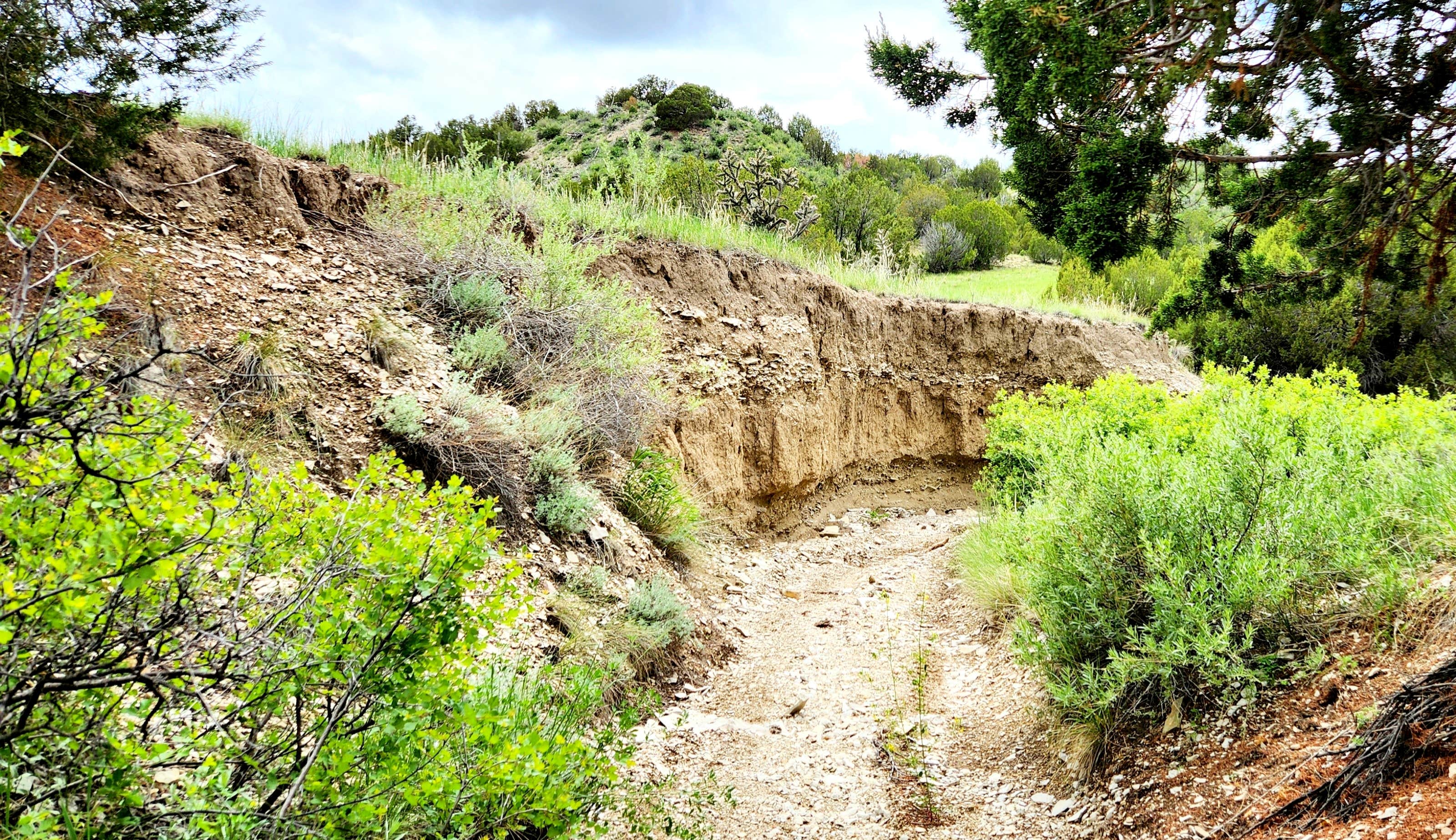 Camper-submitted photo at Manifest Ranch PrivateCamp near Beulah, CO