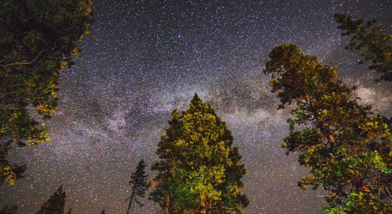 Star-filled Sky while Camping at Sequoia National Forest Hume Lake Campground