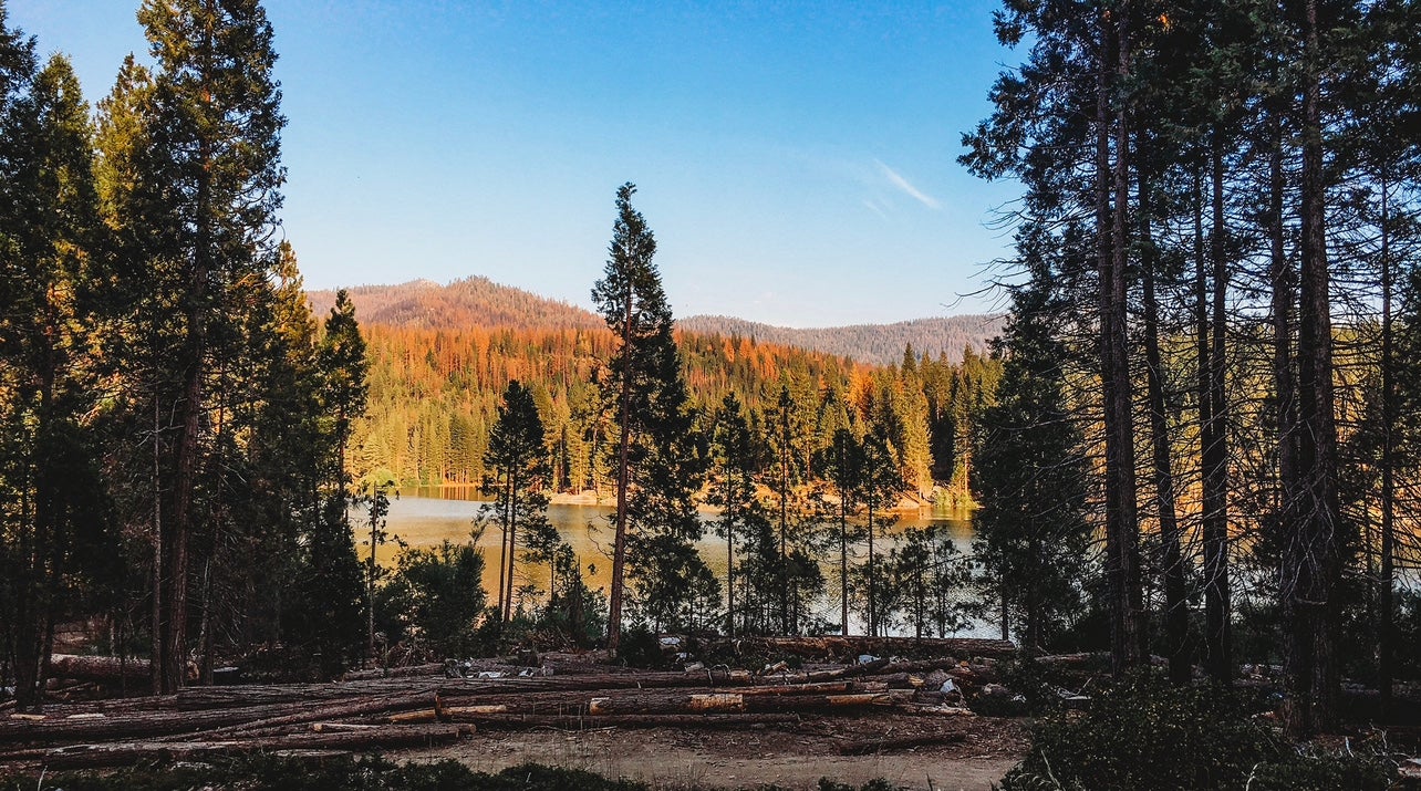 Camper submitted image from Sequoia National Forest Hume Lake Campground - 3