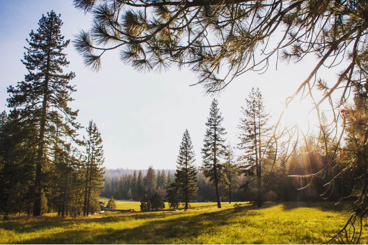 Camper-submitted photo at Sequoia National Forest Hume Lake Campground near Hume, CA