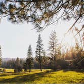 Review photo of Sequoia National Forest Hume Lake Campground by Heather L., July 21, 2023