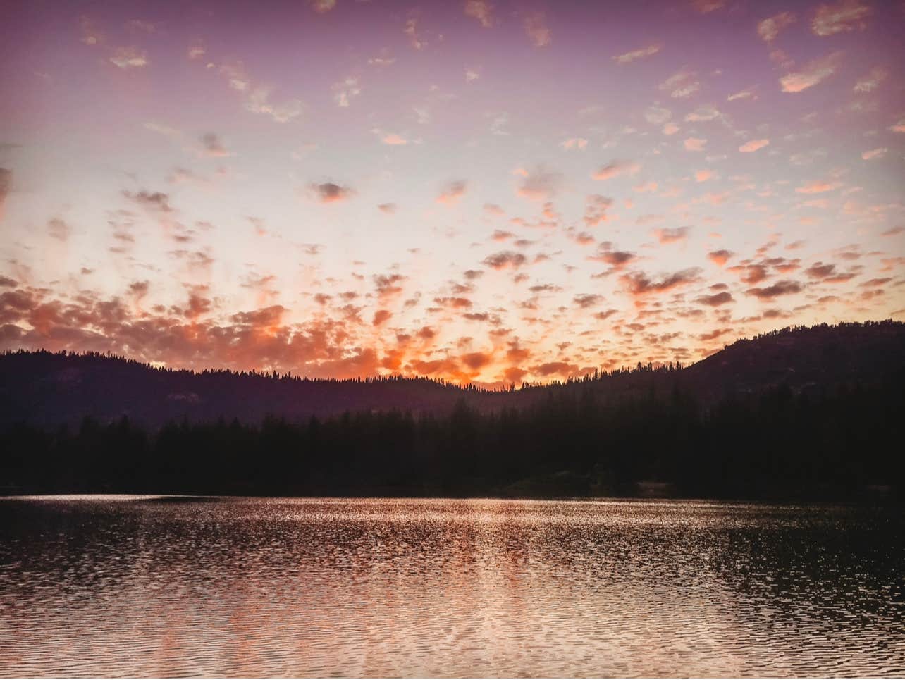 Camper submitted image from Sequoia National Forest Hume Lake Campground - 1