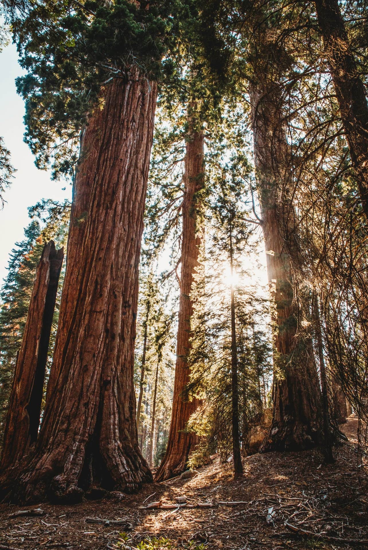 Camper-submitted photo at Sequoia National Forest Hume Lake Campground near Hume, CA