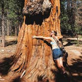 Review photo of Sequoia National Forest Hume Lake Campground by Heather L., July 21, 2023