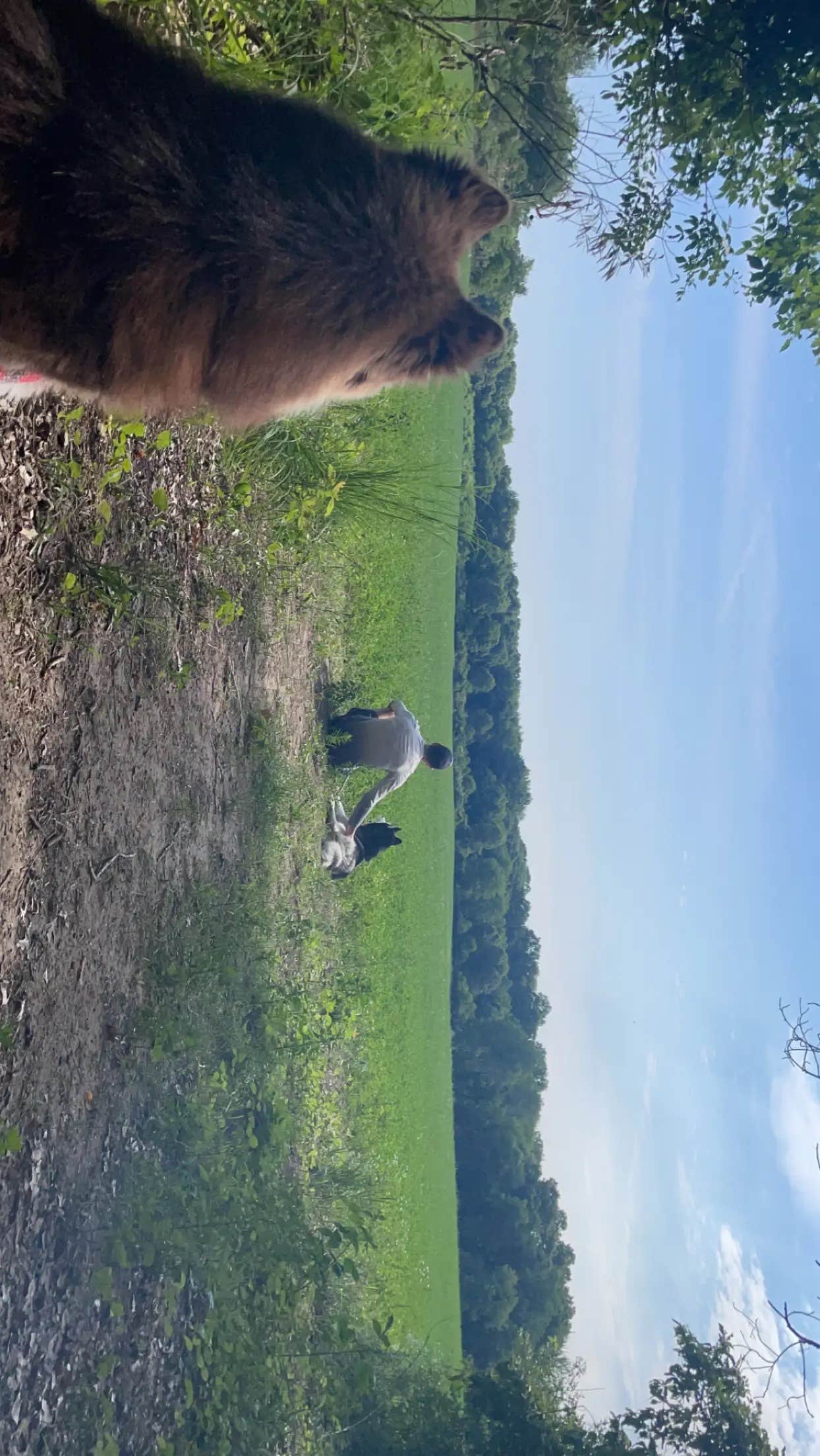 Christopher S.'s photo of camping with pets at Sharp Park Campground near Pewamo, MI