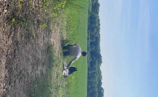 Christopher S.'s photo of camping with pets at Sharp Park Campground near Portage, MI