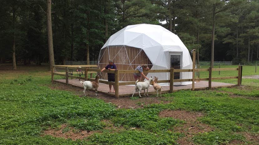 Chris C.'s photo at Adventures await retreat near Trappe, MD