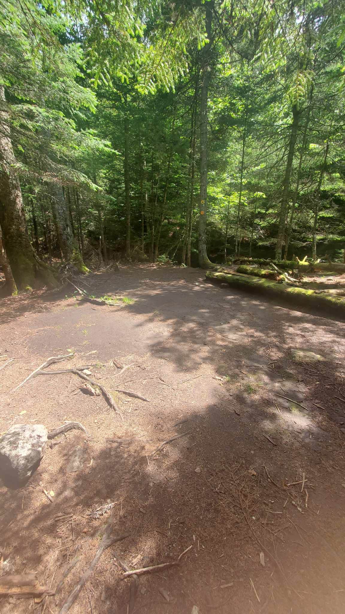 Camper-submitted photo at Bushnelle Falls Campsite near Wilmington, NY