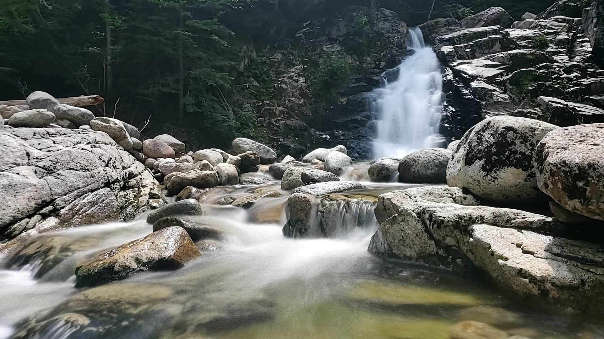 Camper submitted image from Bushnelle Falls Campsite - 2