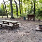 Review photo of Blackbird State Forest Campground by D R., October 24, 2018