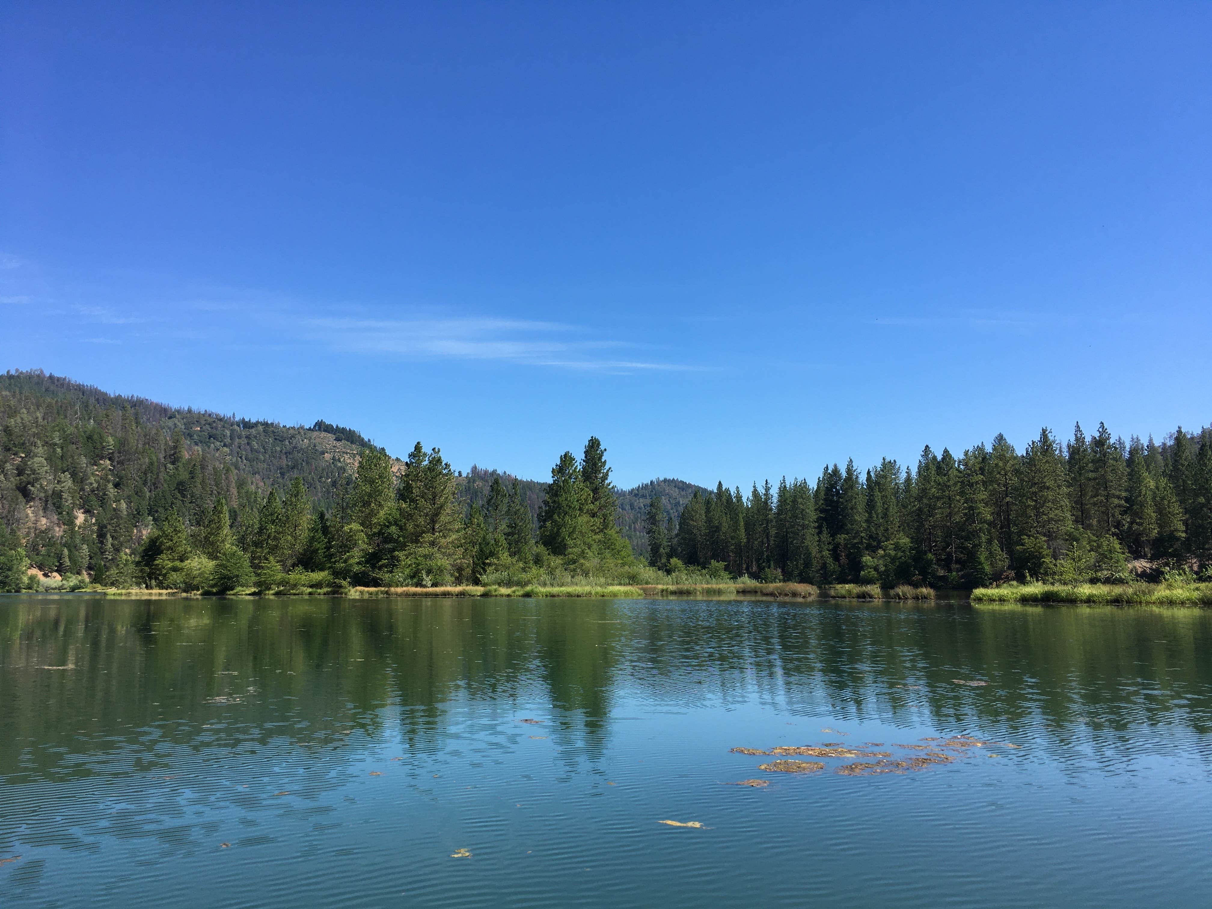 Camper submitted image from Cooper Gulch Campground - 2