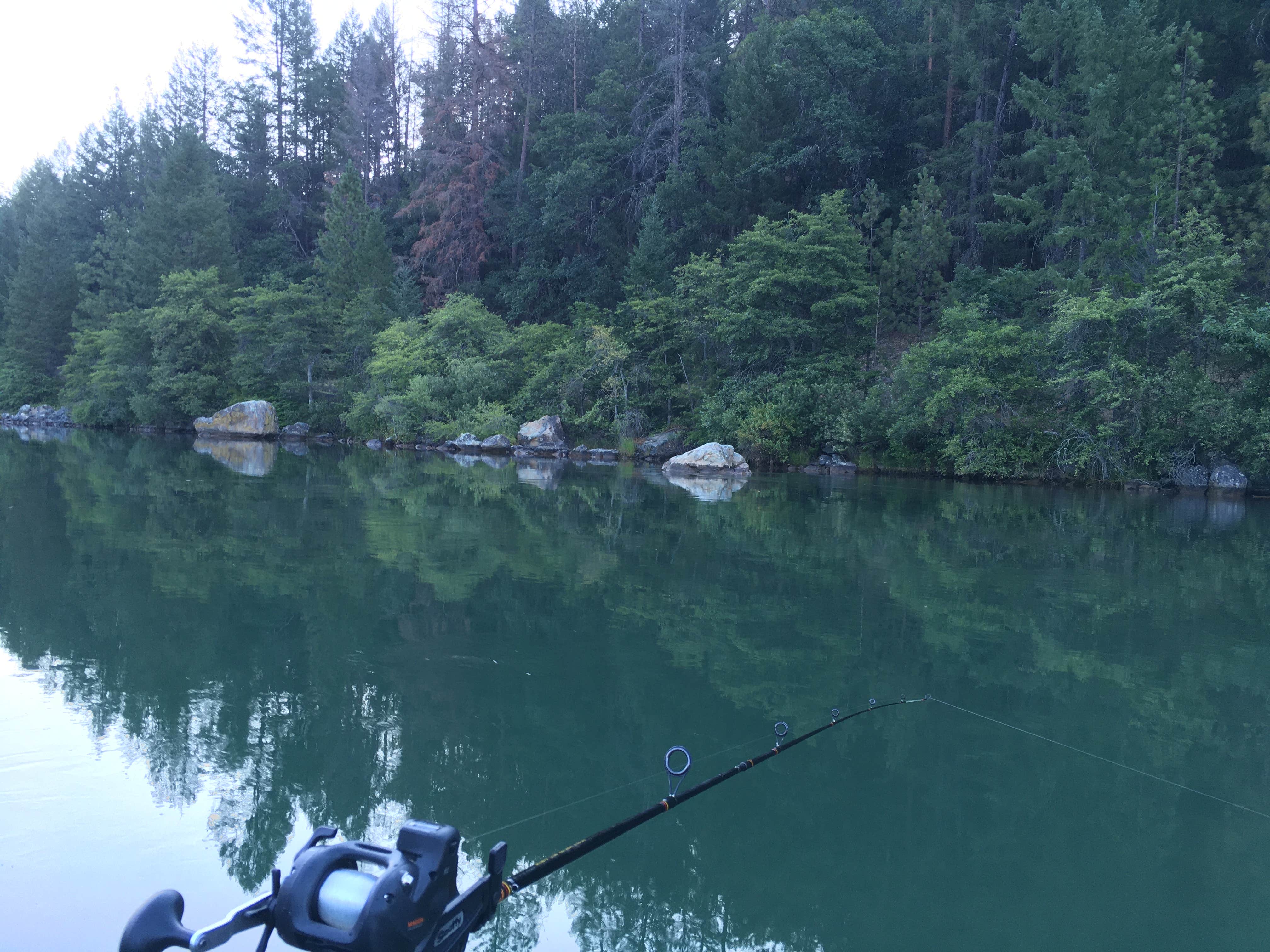 Camper submitted image from Cooper Gulch Campground - 4