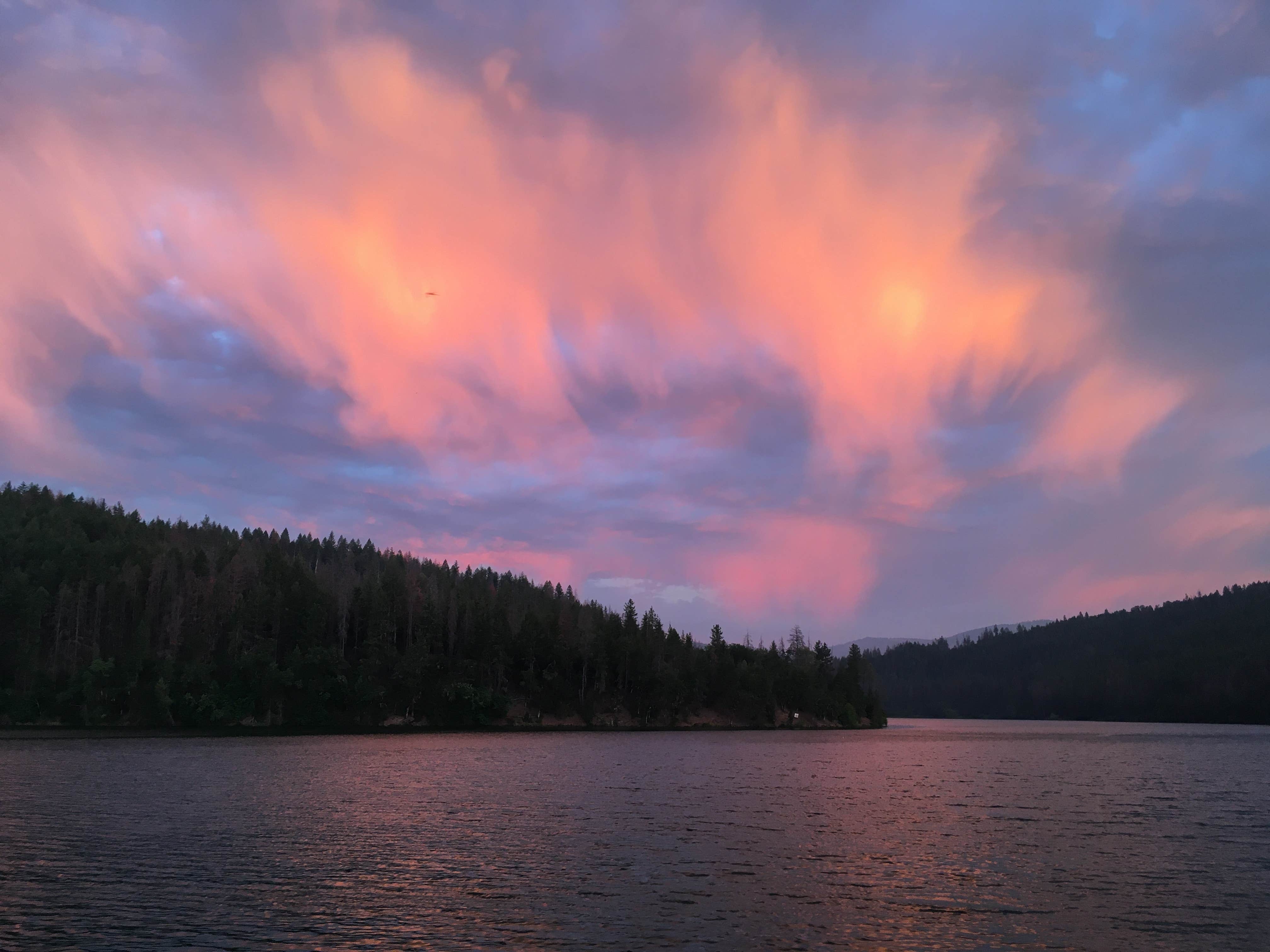 Camper-submitted photo at Cooper Gulch Campground near Lewiston, CA