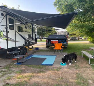 Camper-submitted photo from Hamilton Branch State Park Campground