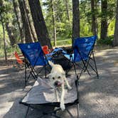 Review photo of Saddle Campground by Greg T., July 21, 2023