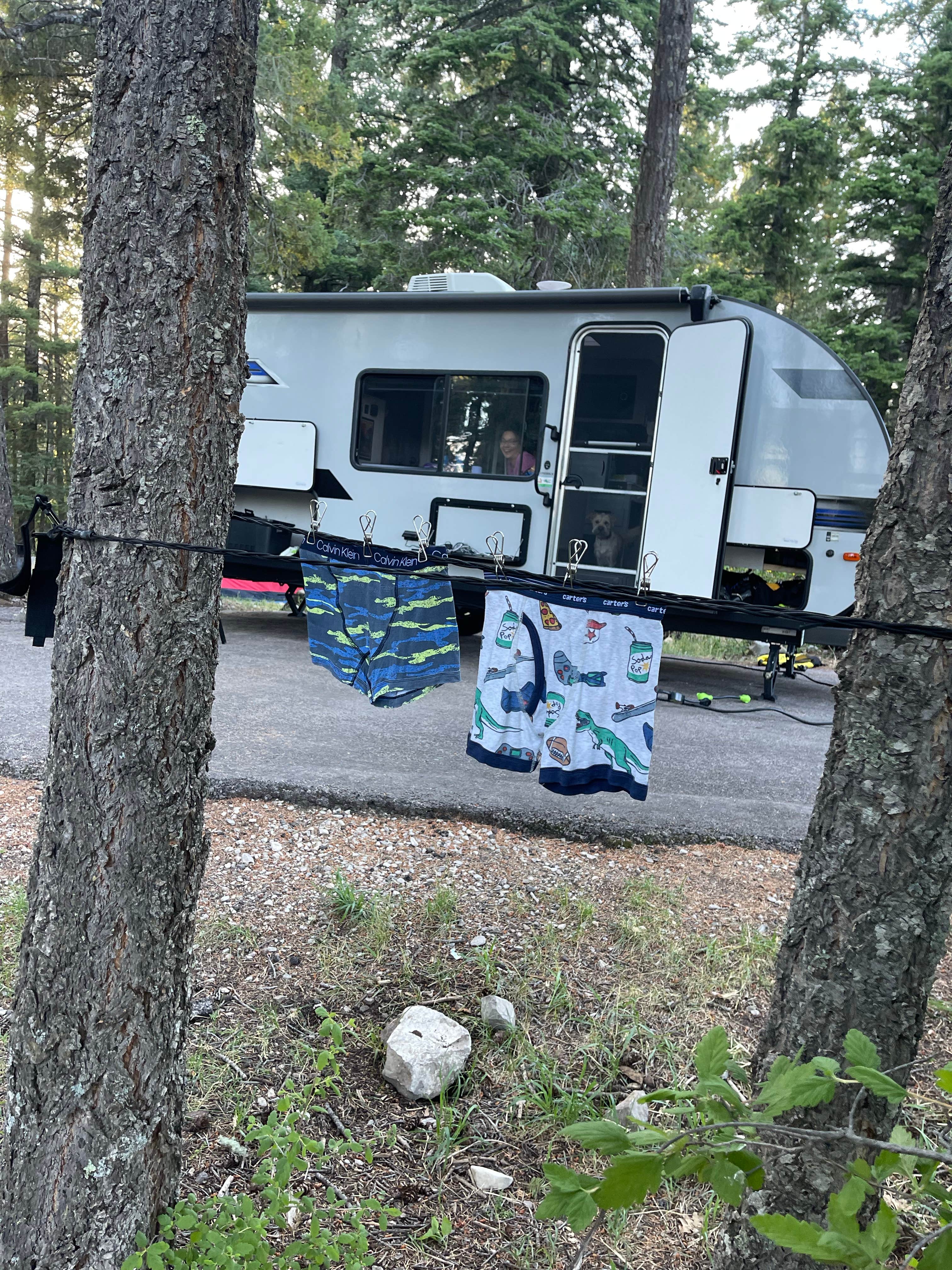 Greg T.'s photo of rv camping at Saddle Campground near Timberon, NM