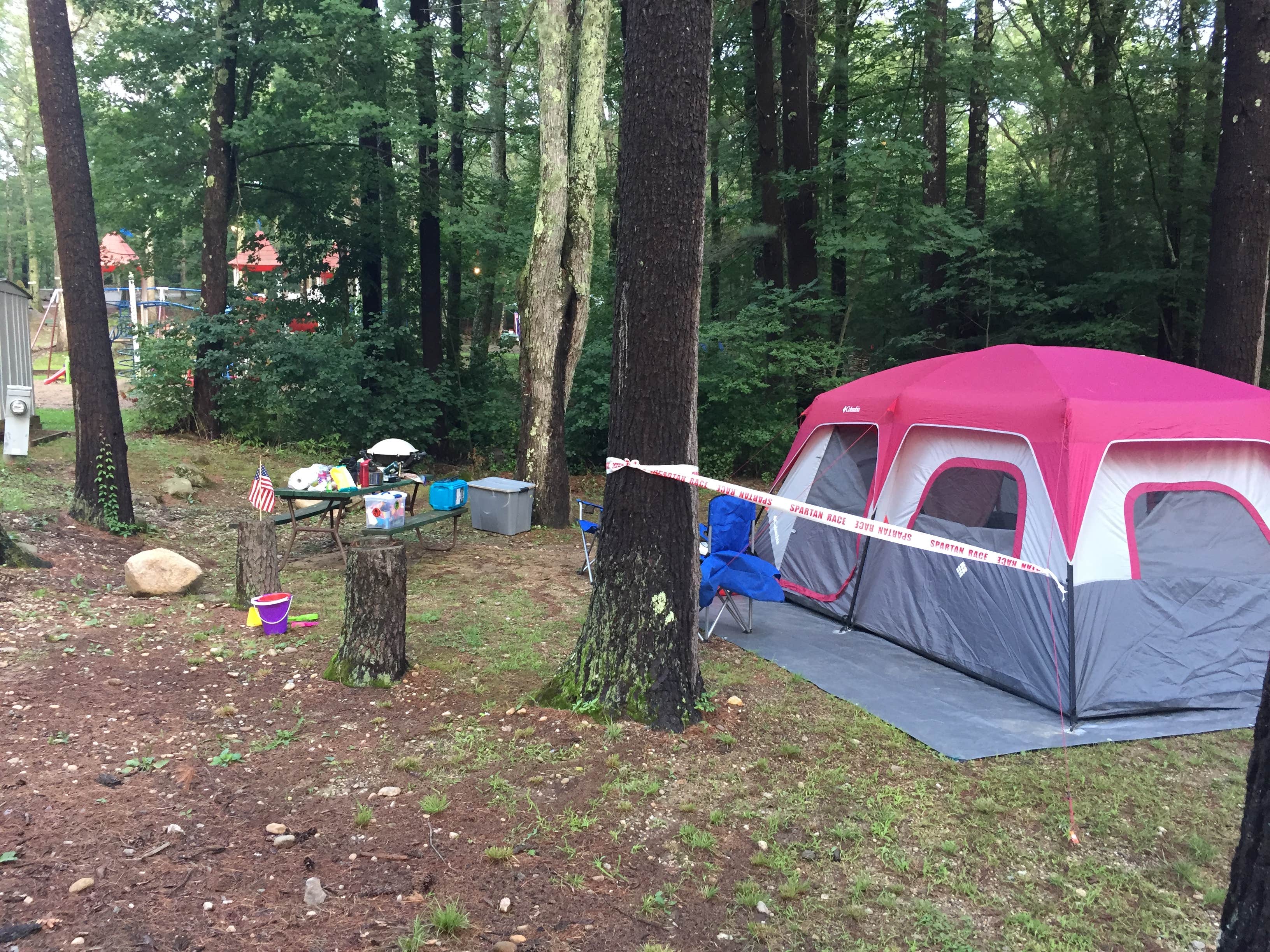 Erin S.'s photo of tent camping at Coldbrook Campground near Whately, MA