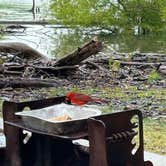 Review photo of Obey River Park by Renee G., July 21, 2023