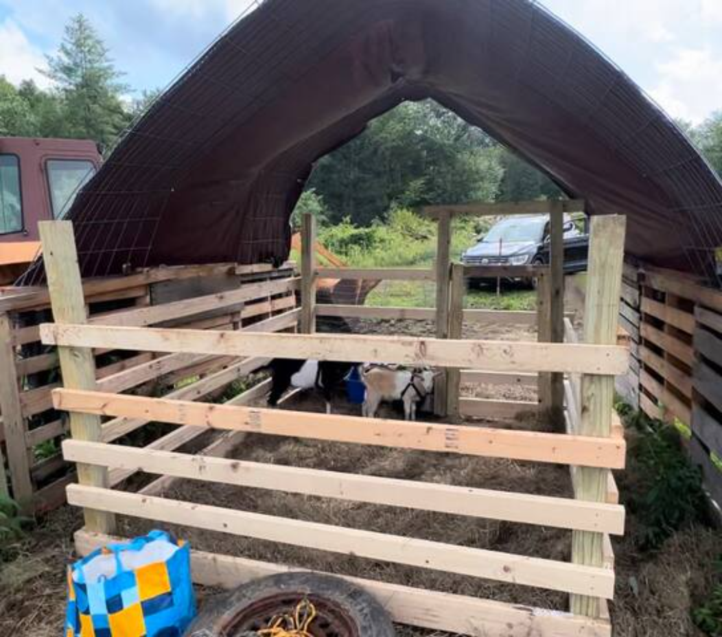 Camper-submitted photo at Starlit Camping at Atlantic Coast Farms and Estates near Storrs, CT