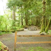 Review photo of Bogachiel State Park Campground by Christy K., July 31, 2015
