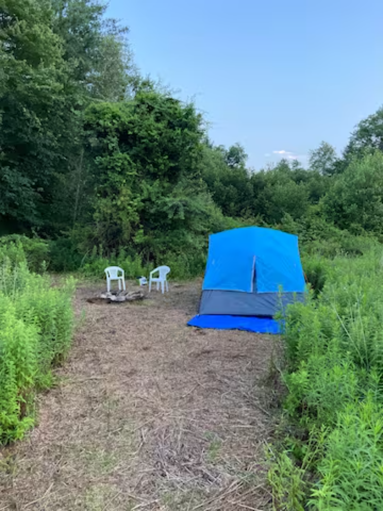 Camper-submitted photo at Starlit Camping at Atlantic Coast Farms and Estates near Storrs, CT