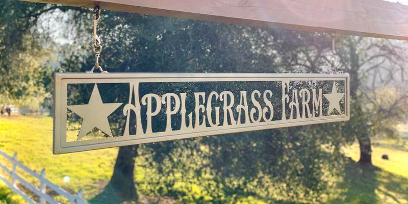 Camper submitted image from Apple Grass Farm