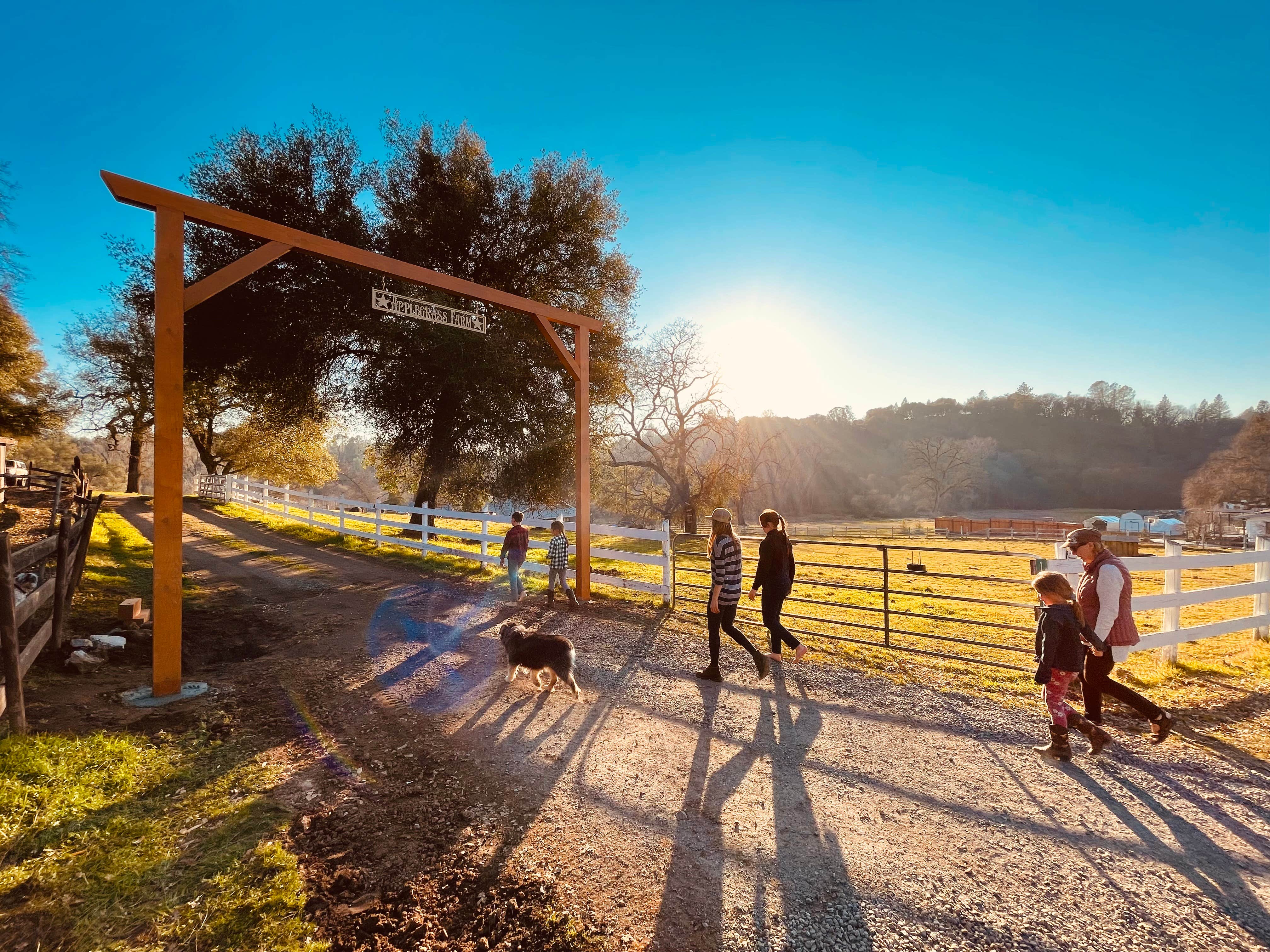 Charity M.'s photo of camping with pets at Apple Grass Farm near Foresthill, CA