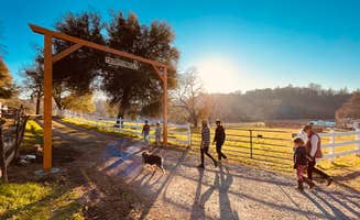 Charity M.'s photo of camping with pets at Apple Grass Farm near Nevada City, CA