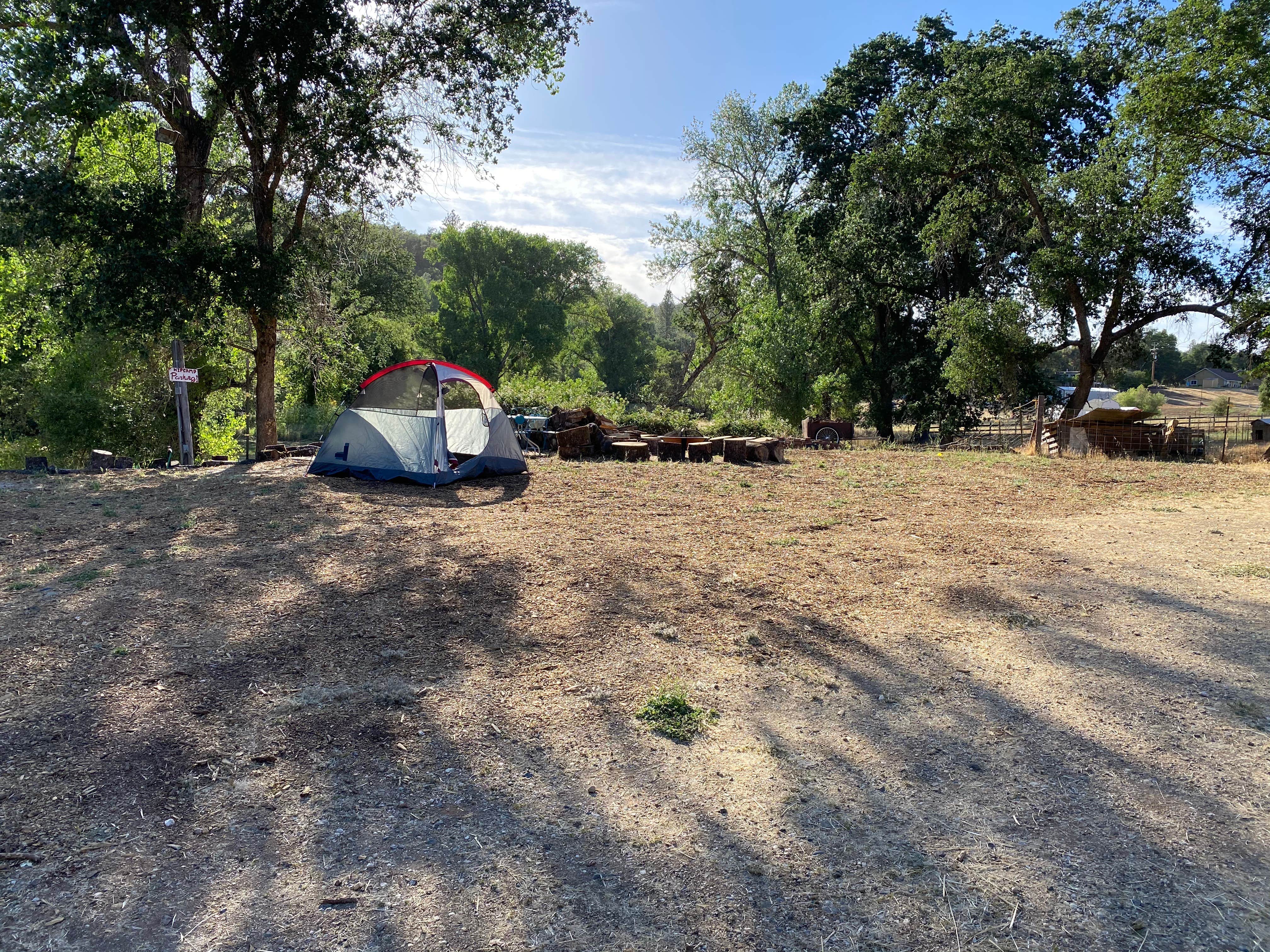 Charity M.'s photo at Apple Grass Farm near Auburn, CA