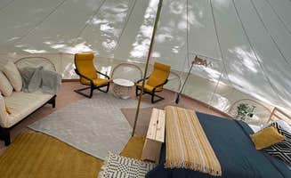 Candice N.'s photo of tent camping at Lacy Oasis Campground near Bethesda, MD