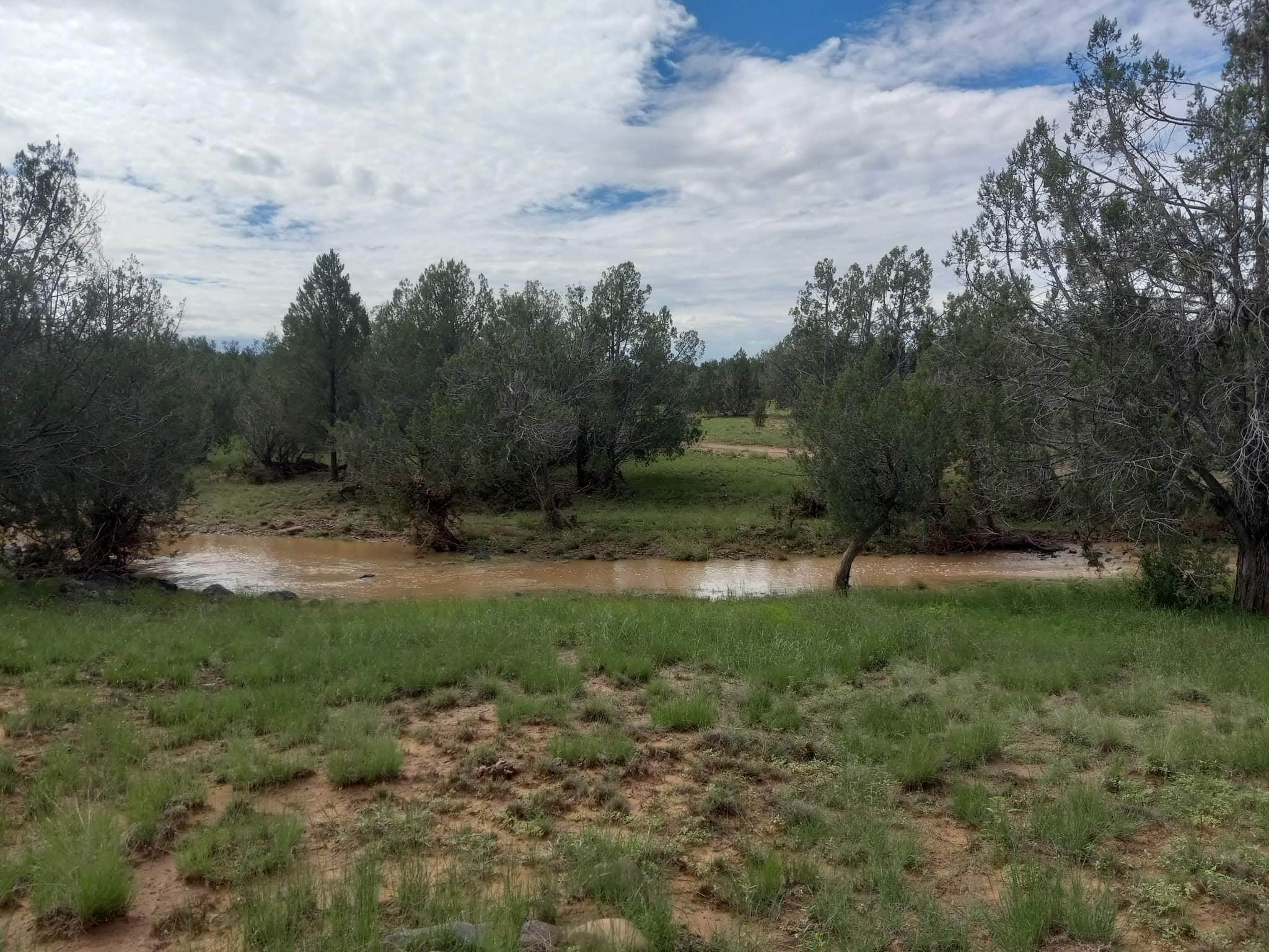 Camper submitted image from Partridge Creek Wilderness Ranch - 2