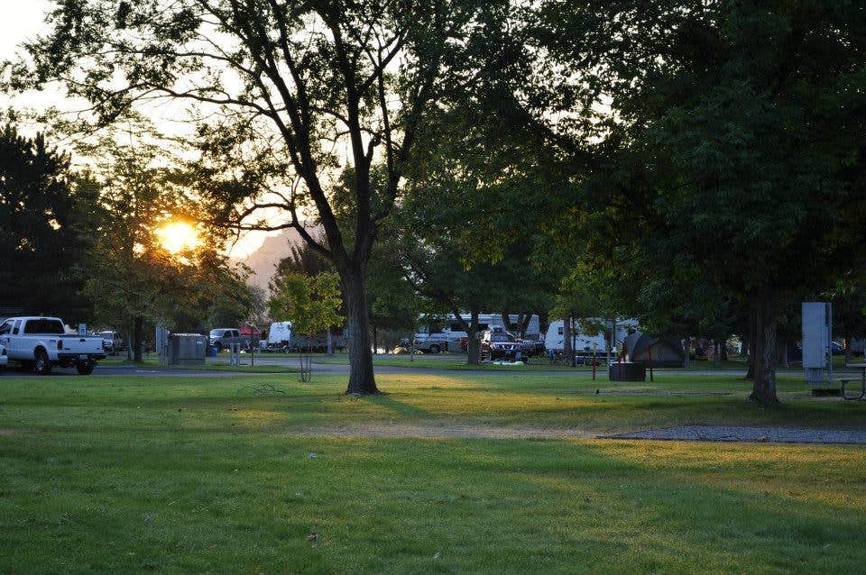 Camper submitted image from Dune Loop Campground — Steamboat Rock State Park - 2