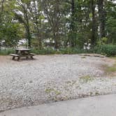 Review photo of Pokagon State Park Campground by Cynthia K., July 21, 2023