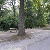 Review photo of Pokagon State Park Campground by Cynthia K., July 21, 2023