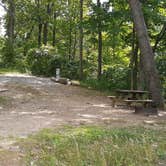 Review photo of Pokagon State Park Campground by Cynthia K., July 21, 2023