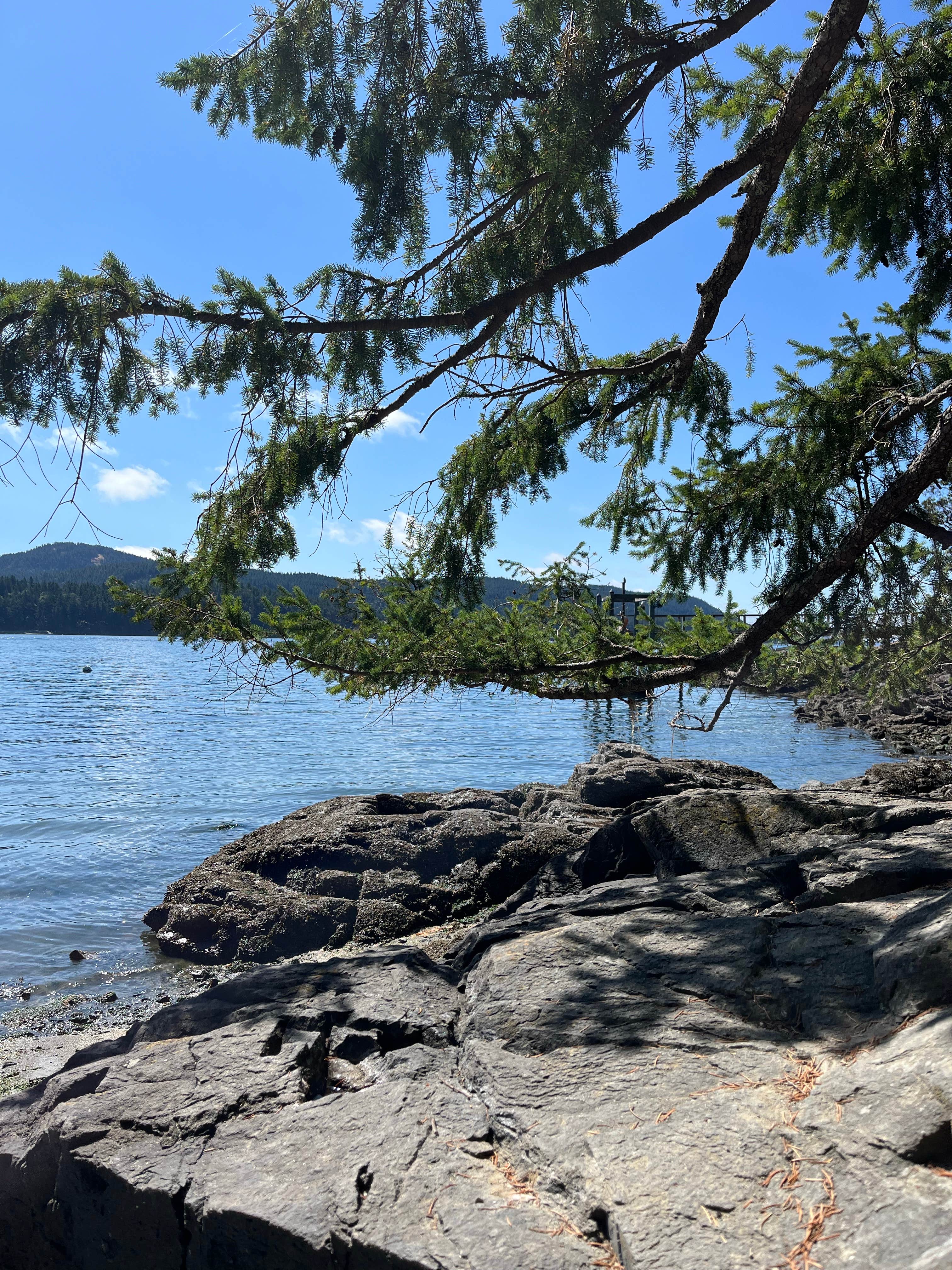 Camper-submitted photo at Mountain Lake Campground — Moran State Park near Ferndale, WA