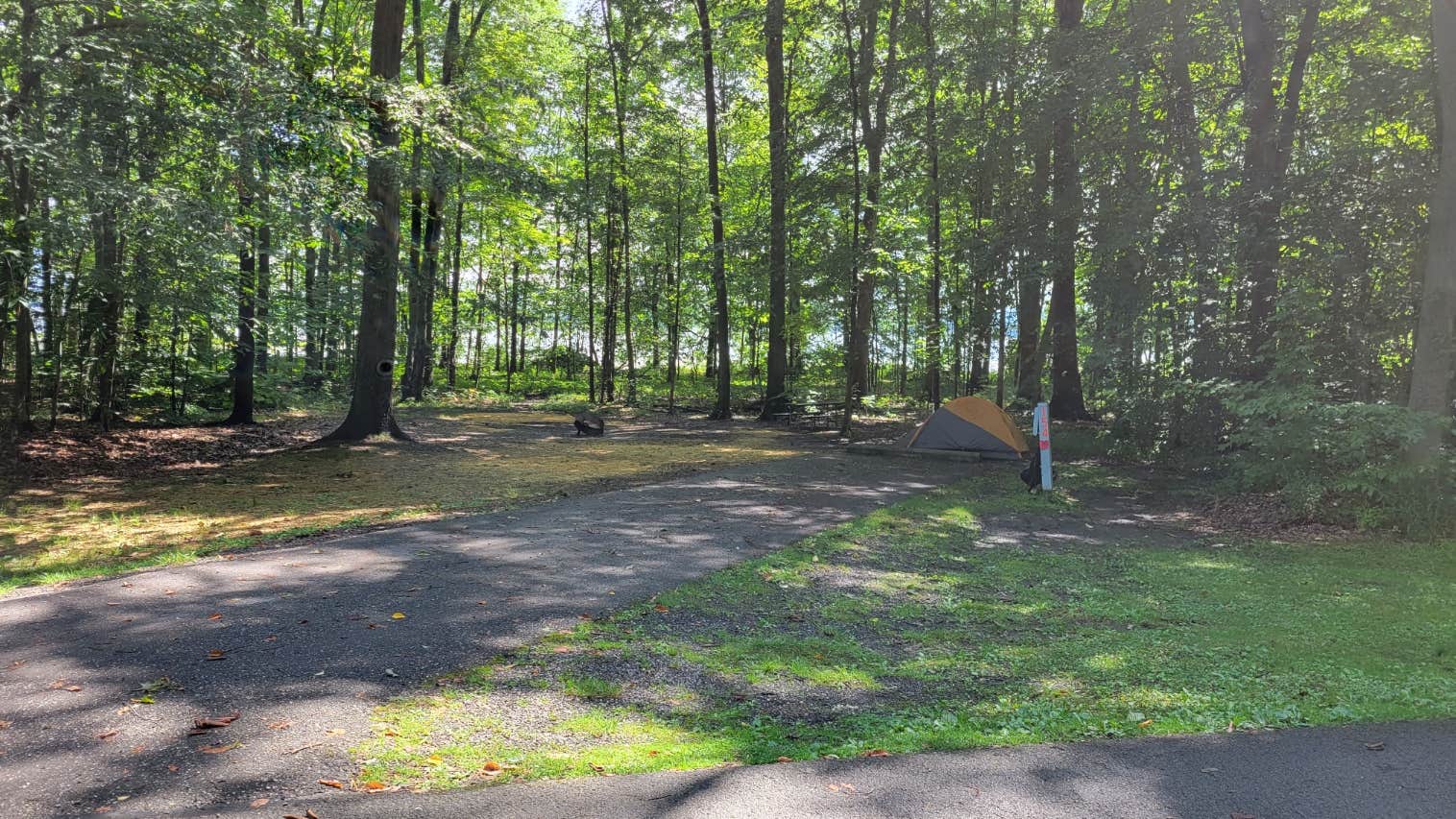 Greg K.'s photo at Mosquito Lake State Park Campground near Mineral Ridge, OH